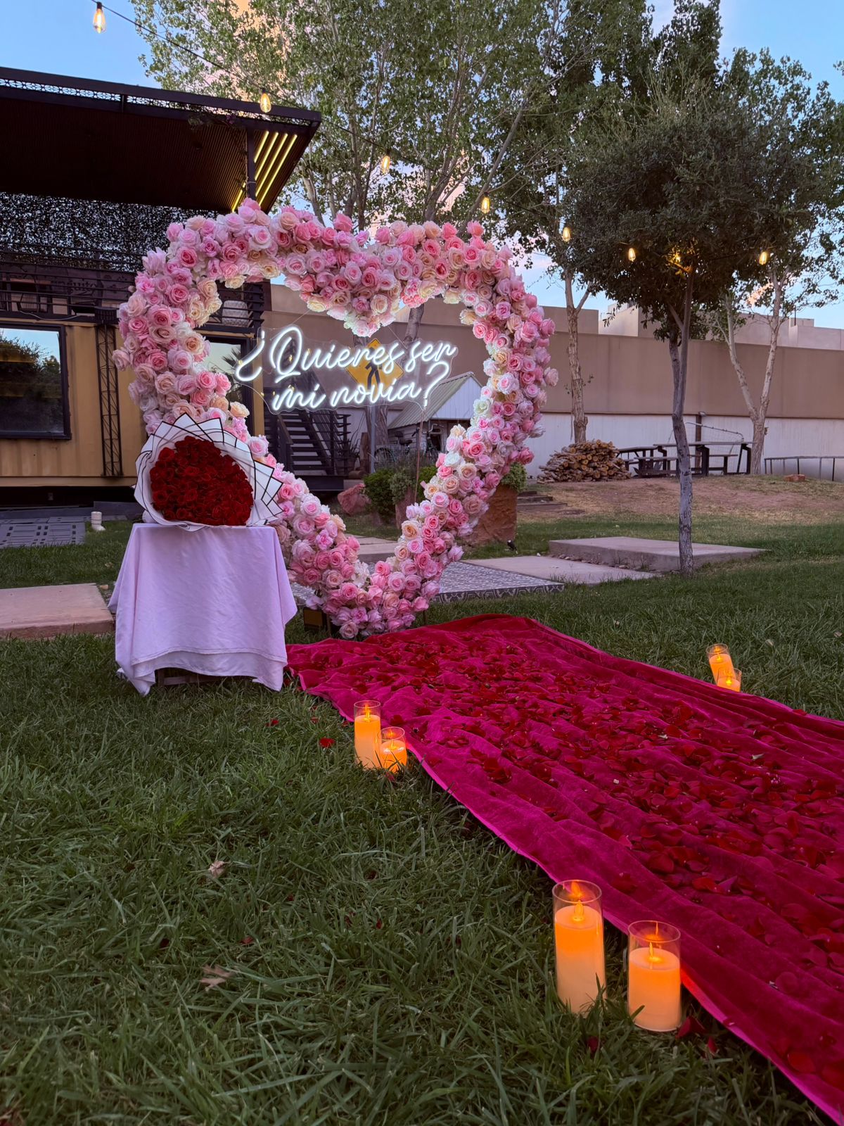 Arco de corazón de rosas rojas iluminado del paquete Bloom