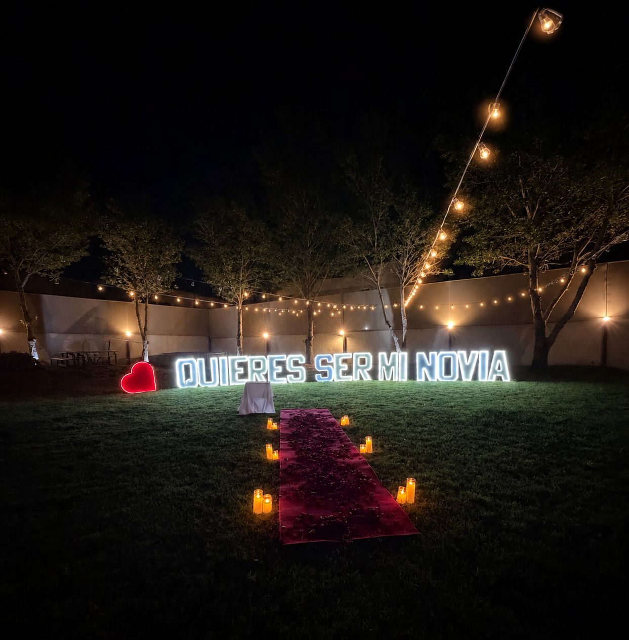 Letras gigantes Marry Me iluminadas del paquete Forever